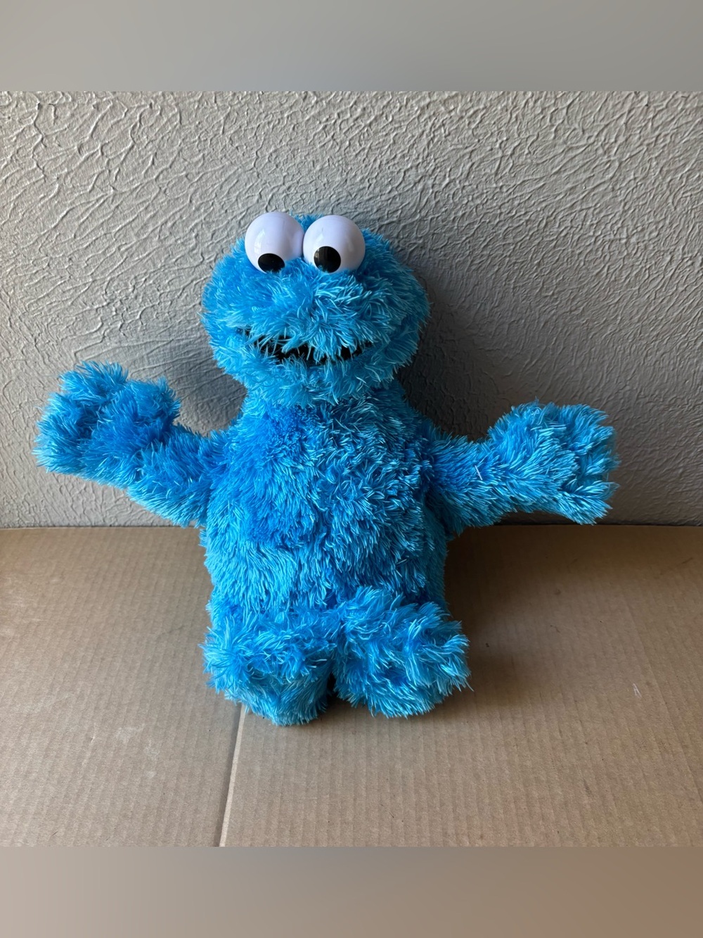 Sesame Street Cookie Monster Plush Stuffed Toy